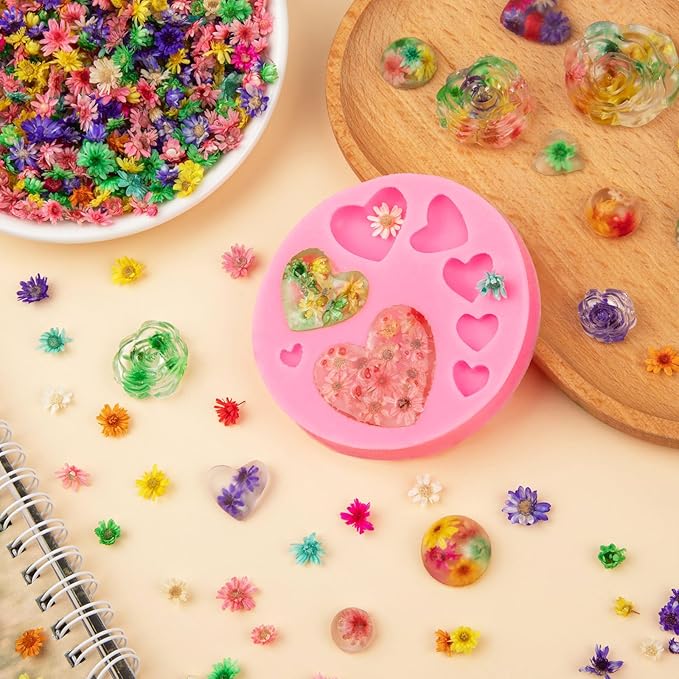 560 PCS Small Dried Flowers for Crafts - Mini Dried Flowers for Resin, Tiny Natural Real Dried Pressed Flowers Bulk for DIY Jewelry Earrings Epoxy Molds, Candles Soap Making