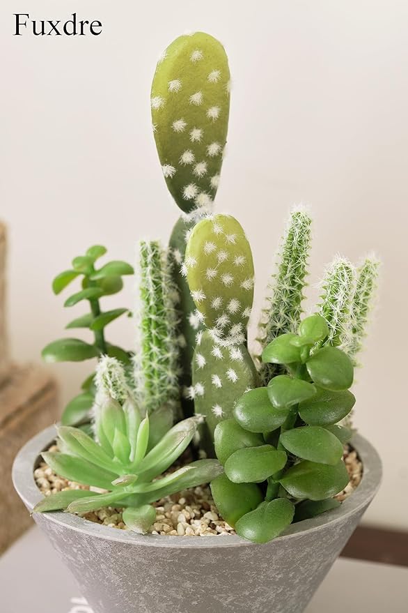 Fuxdre 2-Pack Artificial Succulent Plants in Vintage Plastic Pots - Waterproof Fake Plants Decor for Home Office Desk - Low Maintenance Indoor Greenery for Bathroom, Shelf & Table