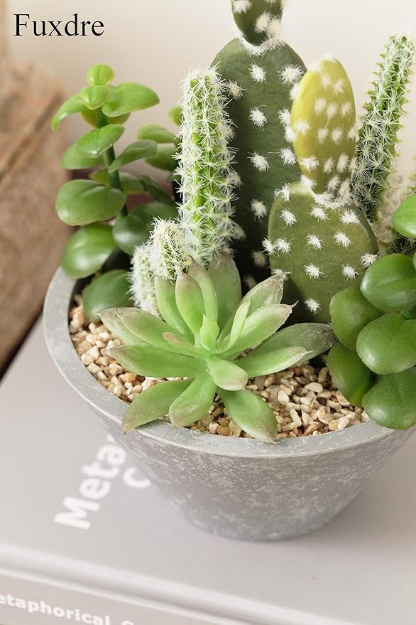 Fuxdre 2-Pack Artificial Succulent Plants in Vintage Plastic Pots - Waterproof Fake Plants Decor for Home Office Desk - Low Maintenance Indoor Greenery for Bathroom, Shelf & Table