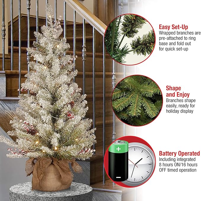 National Tree Company Pre-Lit Artificial Mini Christmas Tree, Green, Dunhill Fir, White Lights, Decorated with Pine Cones, Berry Clusters, Frosted Branches, Includes Cloth Bag Base, 3 Feet