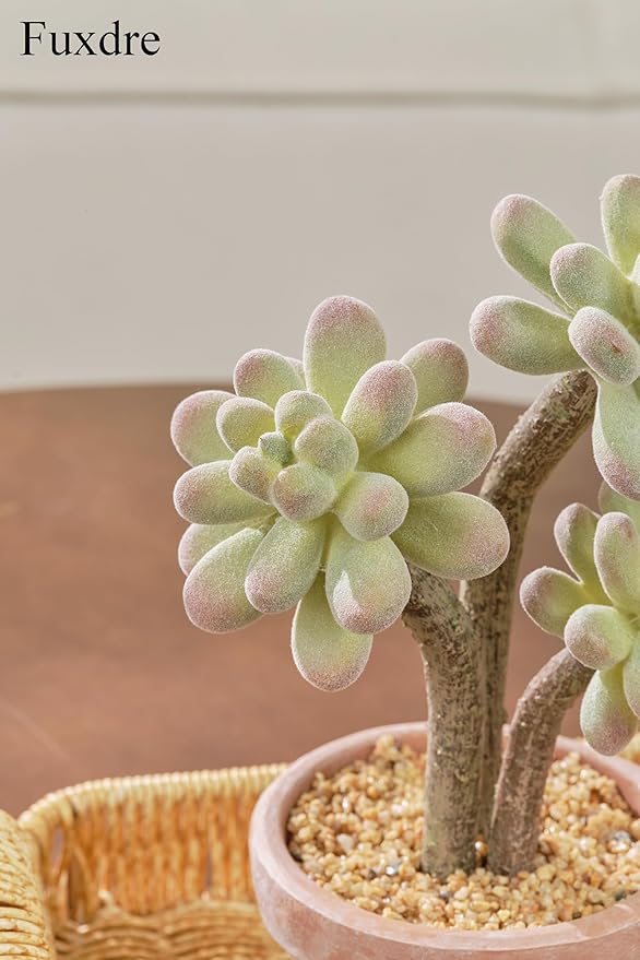 Fuxdre 2-Pack Artificial Succulent Plants in Vintage Plastic Pots - Waterproof Fake Succulents Decor for Home, Office, Desk - Low Maintenance Indoor Plants for Bathroom, Shelf, Table Decor