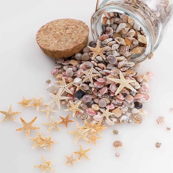 PPCLION 60pcs Tiny Starfish 1800 Pcs Tiny Mini Small Sea Shells for Crafting Spiral Conch Shells for Crafts Charms for Home Decorations Candle Decor DIY Fish Tank and Beach Vase Filler