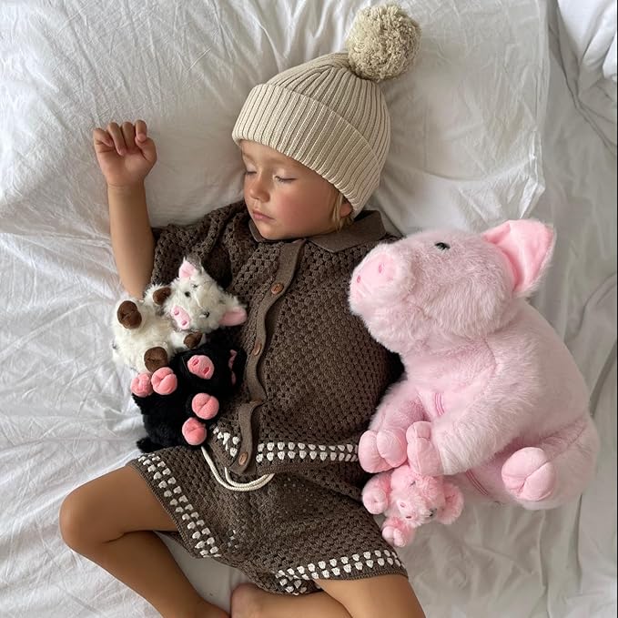 5Pcs Pig Stuffed Animal, 16 Inch Mommy Pig Plush with 4 Soft Cuddly Baby Piggy Plushies in Mother Pig's Belly, Kawaii Chirstmas Birthday Gift for Girls Boys Kids, Baby Shower Decor