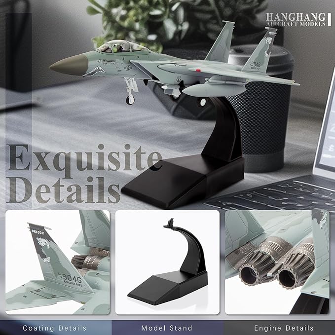 HANGHANG 1/100 Military Model Plane F15C Eagle Alloy Fighter Plane Model Model Airplane for Collection and Gift