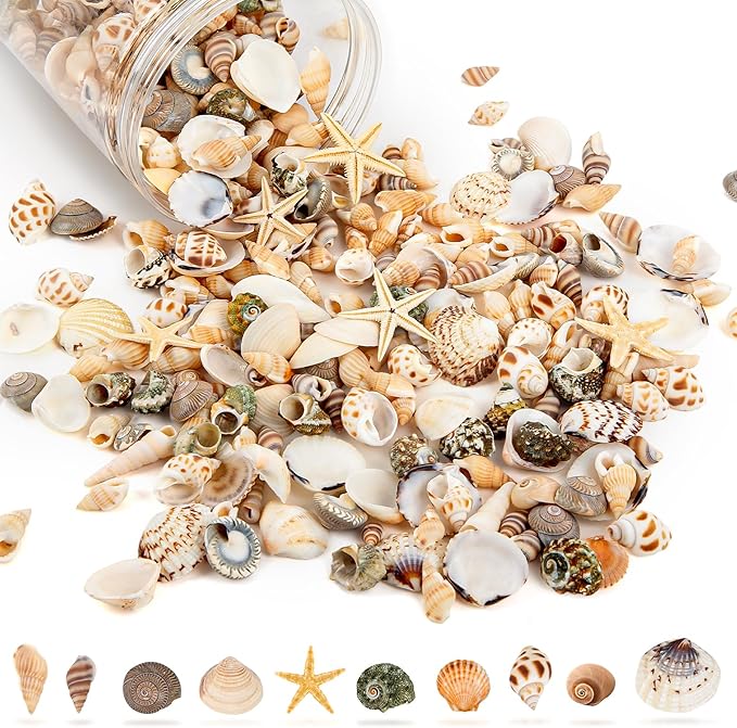 Tiny Sea Shells & 6 Starfish Decor Mixed Ocean Beach Spiral Seashells for Home Decor, Wedding,Decor, Beach Decor, Vase Filler, Ocean Theme Decor,Fish Tank, Making DIY Ornaments