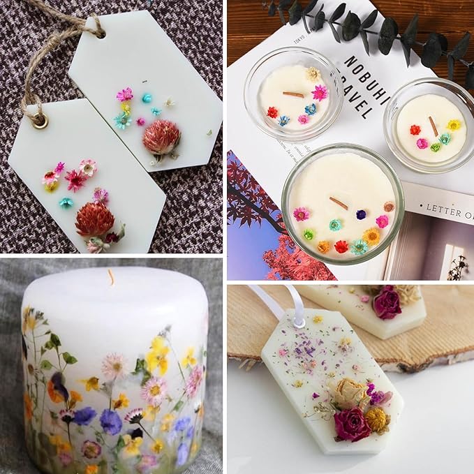 560 PCS Small Dried Flowers for Crafts - Mini Dried Flowers for Resin, Tiny Natural Real Dried Pressed Flowers Bulk for DIY Jewelry Earrings Epoxy Molds, Candles Soap Making
