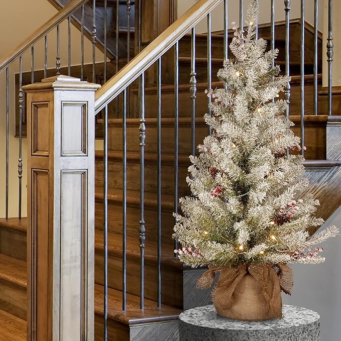 National Tree Company Pre-Lit Artificial Mini Christmas Tree, Green, Dunhill Fir, White Lights, Decorated with Pine Cones, Berry Clusters, Frosted Branches, Includes Cloth Bag Base, 3 Feet