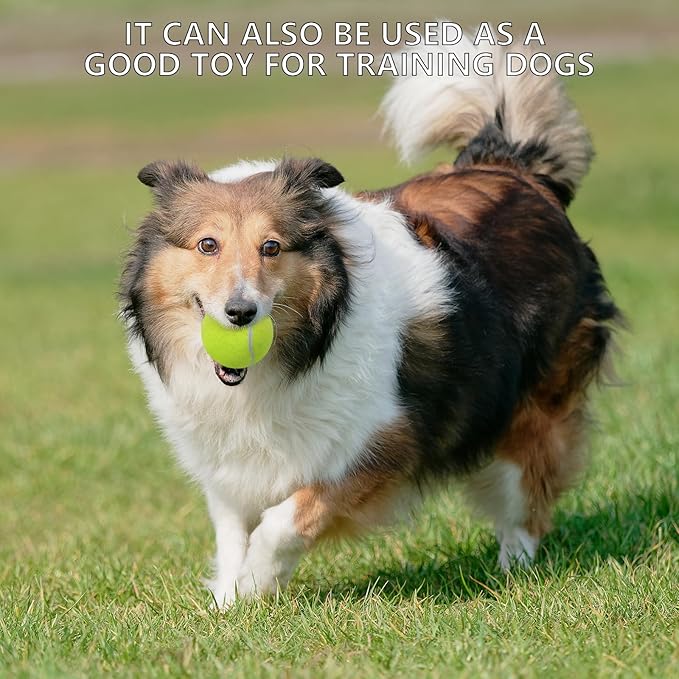 SHYUJAJIE Tennis Balls, 20 Pack Training Tennis Balls,High Elasticity Practice Tennis for Beginner, Exercise Playing Balls for Pet Dog