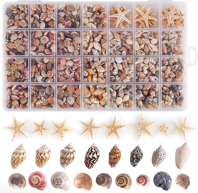 PPCLION 60pcs Tiny Starfish 1800 Pcs Tiny Mini Small Sea Shells for Crafting Spiral Conch Shells for Crafts Charms for Home Decorations Candle Decor DIY Fish Tank and Beach Vase Filler