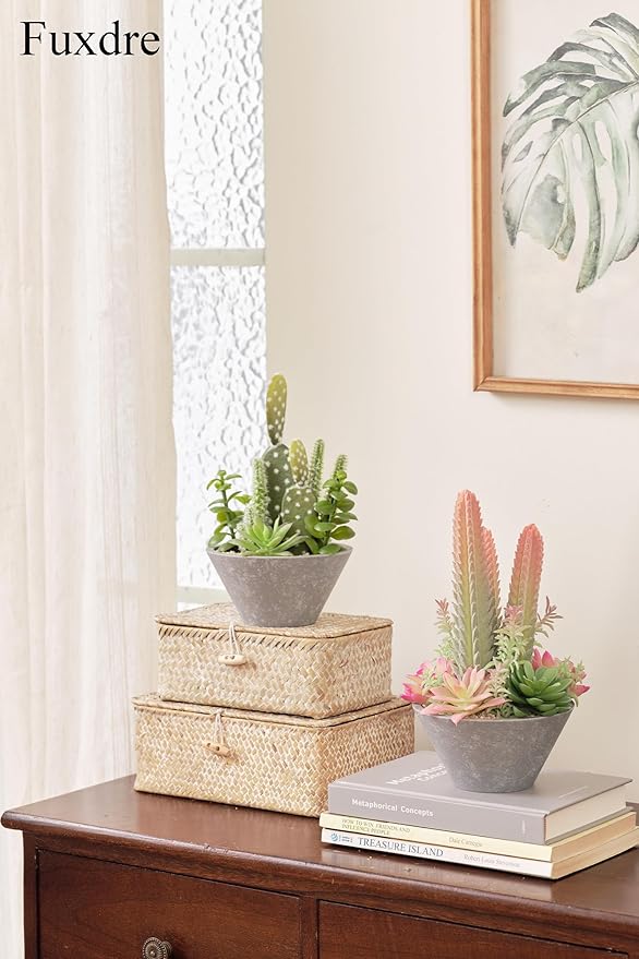 Fuxdre 2-Pack Artificial Succulent Plants in Vintage Plastic Pots - Waterproof Fake Plants Decor for Home Office Desk - Low Maintenance Indoor Greenery for Bathroom, Shelf & Table