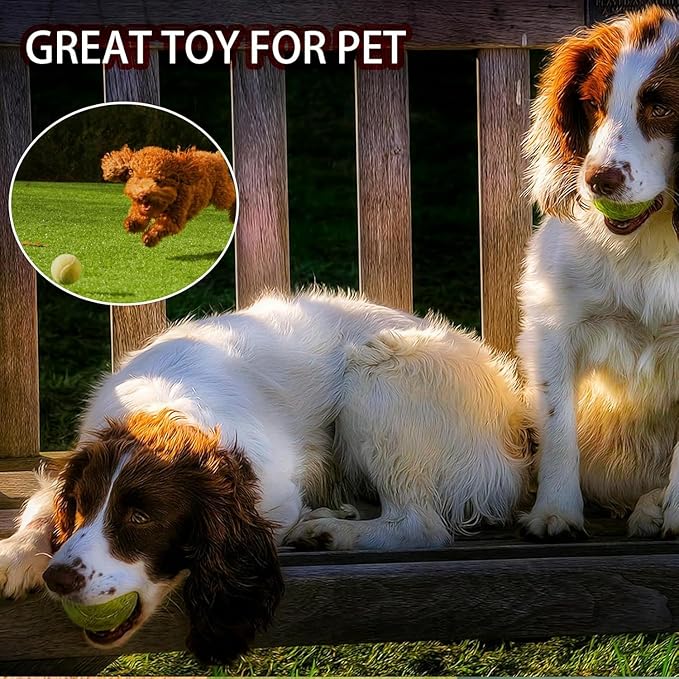 SHYUJAJIE Tennis Balls, 20 Pack Training Tennis Balls,High Elasticity Practice Tennis for Beginner, Exercise Playing Balls for Pet Dog
