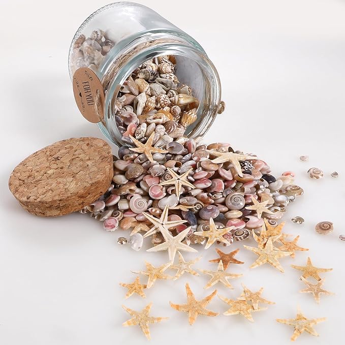 PPCLION 60pcs Tiny Starfish 1800 Pcs Tiny Mini Small Sea Shells for Crafting Spiral Conch Shells for Crafts Charms for Home Decorations Candle Decor DIY Fish Tank and Beach Vase Filler