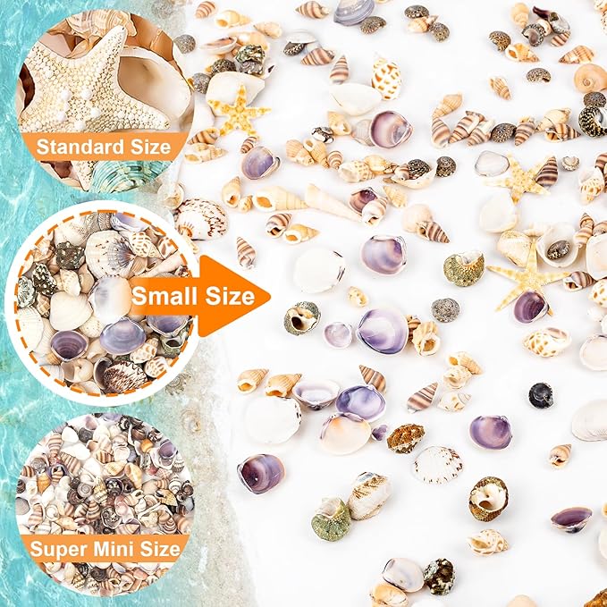Tiny Sea Shells & 6 Starfish Decor Mixed Ocean Beach Spiral Seashells for Home Decor, Wedding,Decor, Beach Decor, Vase Filler, Ocean Theme Decor,Fish Tank, Making DIY Ornaments