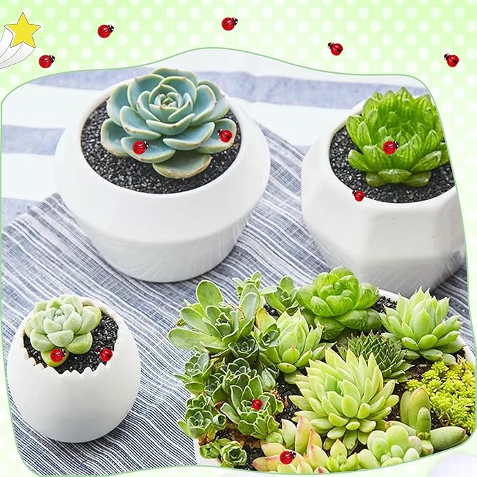 220PCS Mini Ladybug Decor for Dollhouse Resin Tiny Ladybugs for Crafts Micro Miniature Ladybug for Fairy Garden Dollhouse Micro Landscaping Decoration