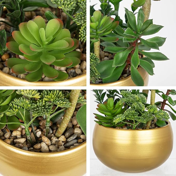 DILATATA Artificial Succulent Plants in Gold Pot Faux Succulent Arrangement Fake Potted Plants with Pebbles for Home Office Desk Shelf Table Decor