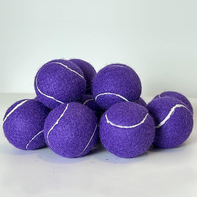 HiBallBall 12-Pack Practice Tennis Balls for Beginners & Dogs - Reusable Mesh Carry Bag Included - Ideal for Tennis Training, Pet Play, Fetch