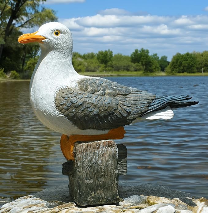 coolboy Real Seagull Figurine,Garden Bird Figurine Statue,Bird Decorations for Home,Best Indoor Outdoor Statues Yard Art Figurines for Patio Lawn House
