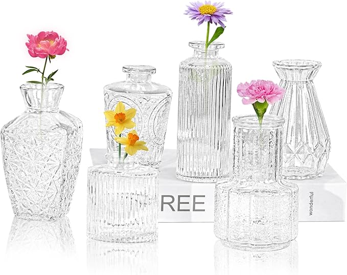 6Pcs Glass Bud Vase Set,Small Flower Vase for Tables Centerpieces Decor, Mini Vintage Clear Vase for Home,Wedding,Party Decorations