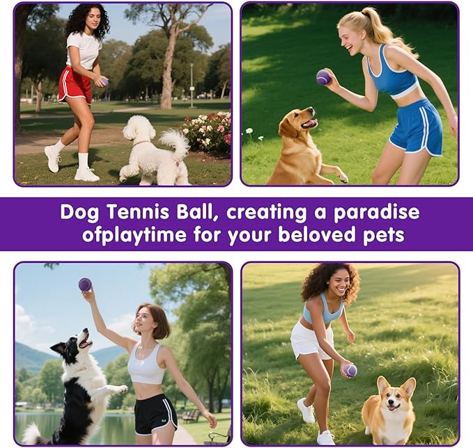PHOEPET 6-Pack Tennis Balls for Beginner Training Practice- Bulk Dog Balls for Fetch Chew Toys(Purple)