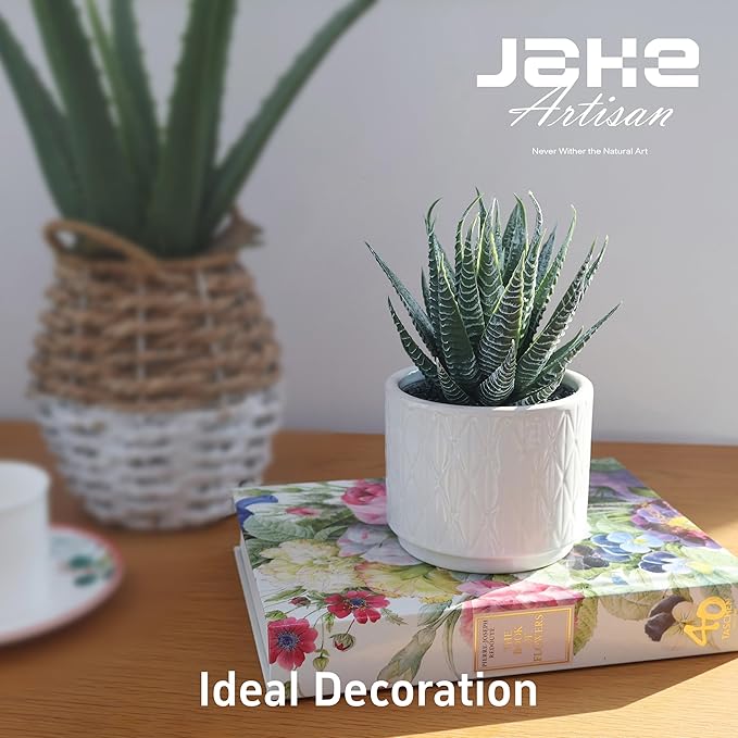 Artificial Succulent in Ceramic Pot, 6.7'' High Potted Fake Aloe Succulent Plant for Home Office Desk Bathroom Boho Shelf Decor, Realistic Faux Aloe with No Maintenance