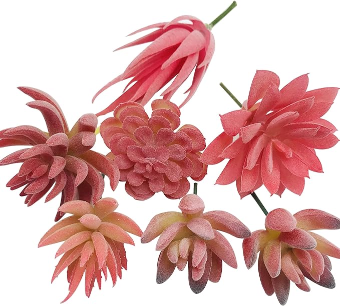 Woohome 20 PCS Artificial Succulent Plants, Red Fake Succulent, Unpotted Faux Succulent Assortment in Flocked in Different Type for Birthday Home Decor Indoor Wall Garden DIY
