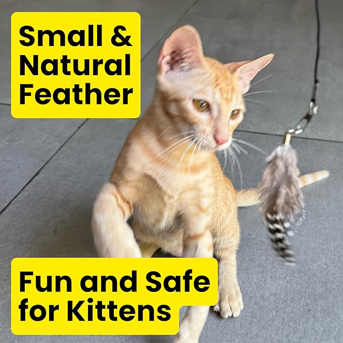 repounce Feather Toys Replacements (3 Pc) - Cat Toys & Kitten Toys for Indoor Kittens, Set of Replacement Feather Attachments Extra Small and Durable, for Cat Wands, Natural and Safe