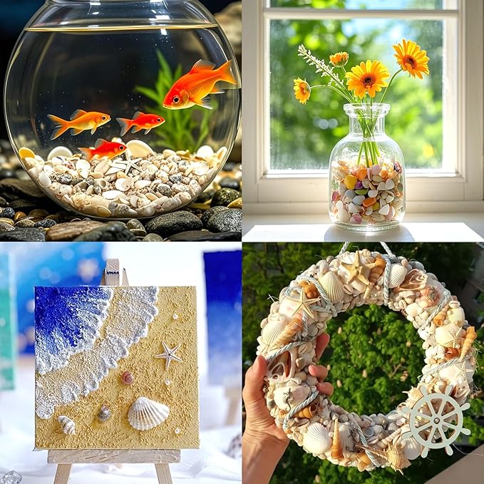 Tiny Sea Shells & 6 Starfish Decor Mixed Ocean Beach Spiral Seashells for Home Decor, Wedding,Decor, Beach Decor, Vase Filler, Ocean Theme Decor,Fish Tank, Making DIY Ornaments