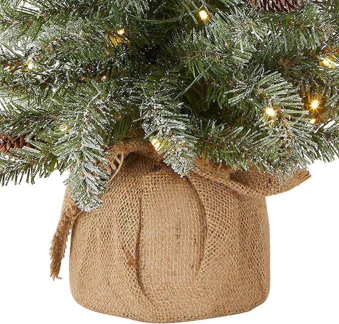 National Tree Company 2 ft Pre-Lit Flocked Mini Artificial Christmas Tree, 50 Clear LED Lights, 75 Tips, Pinecones, Burlap Base, Timer, Green