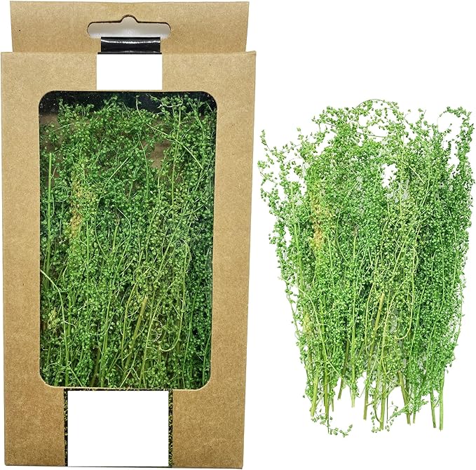 Cayway Miniature Shrubs Model Bushes Long Shrub Vegetation Groups Static Grass Tuft for DIY Model Train Landscape Railroad Scenery, Grass Green