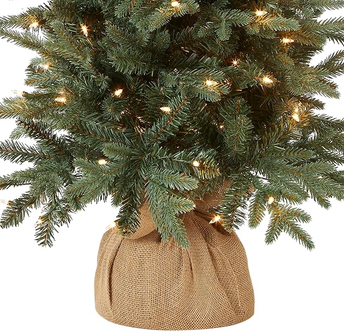 National Tree Company 4 ft Pre-Lit Everyday Collection Mini Artificial Christmas Tree, 150 Clear Lights, 643 Tips, Burlap Base, Green